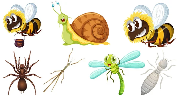 Collection Illustrations Vectorielles Différents Insectes — Image vectorielle