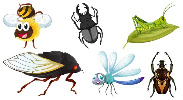 Reihe Von Verschiedenen Arten Von Insekten Illustration — Stockvektor