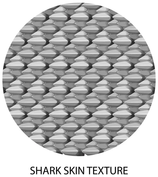Textura Piel Tiburón Con Ilustración Texto — Archivo Imágenes Vectoriales