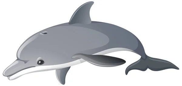 白地のイラストに孤立したイルカ — ストックベクタ