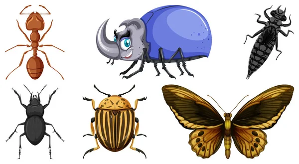 Ensemble Différents Types Insectes Illustration — Image vectorielle