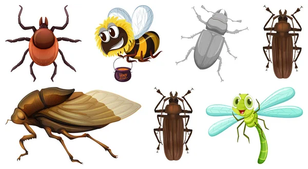 Çeşitli Böcekler Resimde Kümesi — Stok Vektör