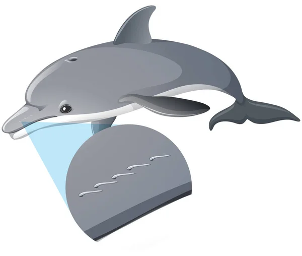 Egy Delfin Elszigetelt Fehér Háttér Illusztráció — Stock Vector