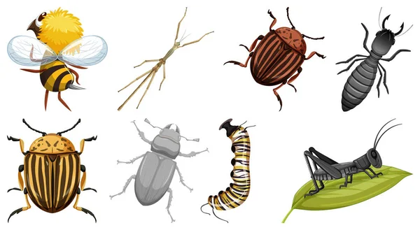 さまざまな昆虫の図のコレクション — ストックベクタ