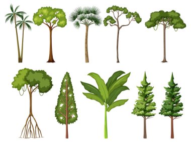 İzole edilmiş tropikal ağaçlar kümesi