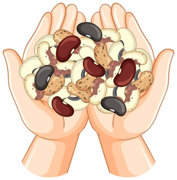 Human Hand Holding Grain Nut Illustration — Stockvektor