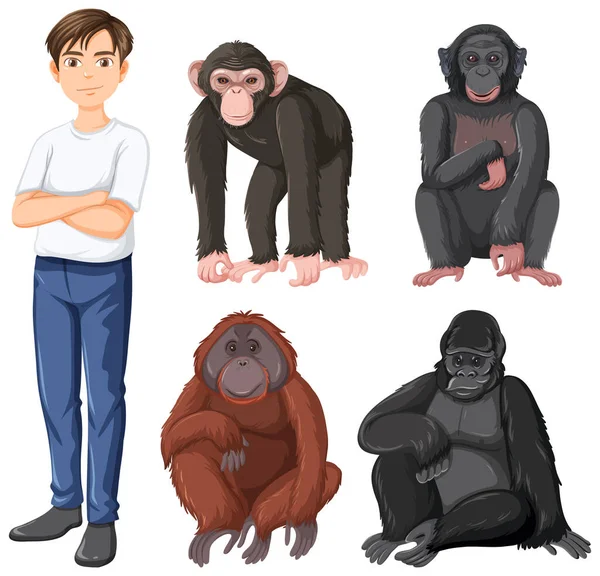 Five Different Types Great Apes Illustration —  Vetores de Stock