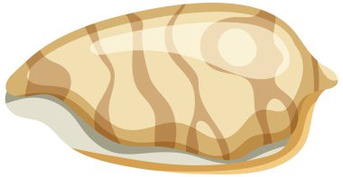 Isolated shell rocky shore illustration