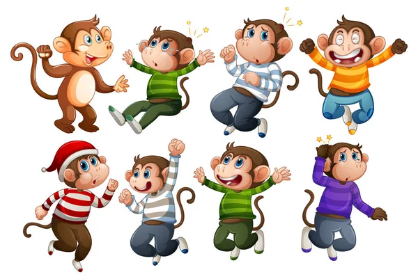 Set Monkey Cartoon Characters Illustration — Stock Vector