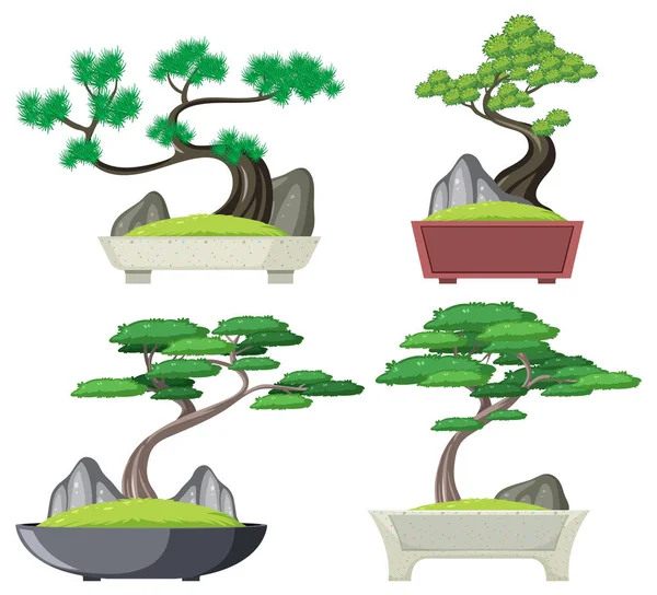 Set Bonsai Tree Isolated Illustration — Stockvektor