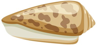 Isolated shell rocky shore illustration