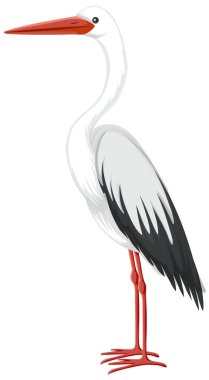 Stork bird isolated on white background illustration