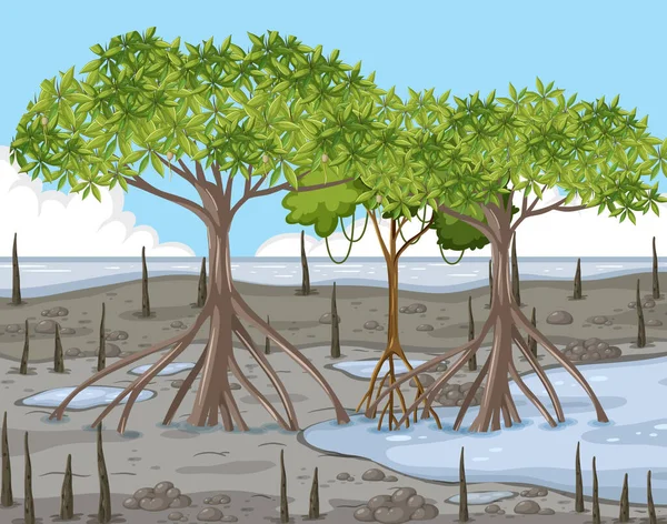 Mangrove Forest Landscape Scene Illustration — Stock Vector