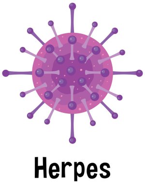 Herpes virus with text illustration