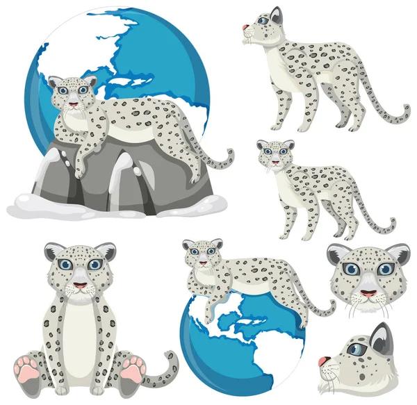Conjunto Mistura Neve Leopardo Ilustração —  Vetores de Stock