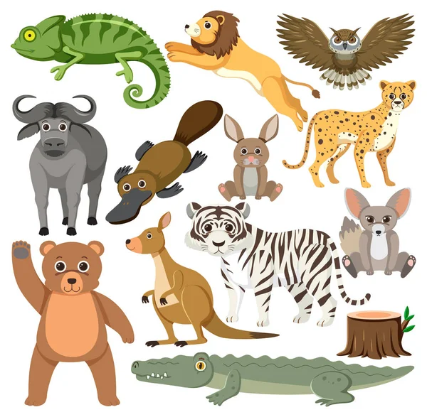 Jeu Illustration Caractère Animal Mélangé — Image vectorielle