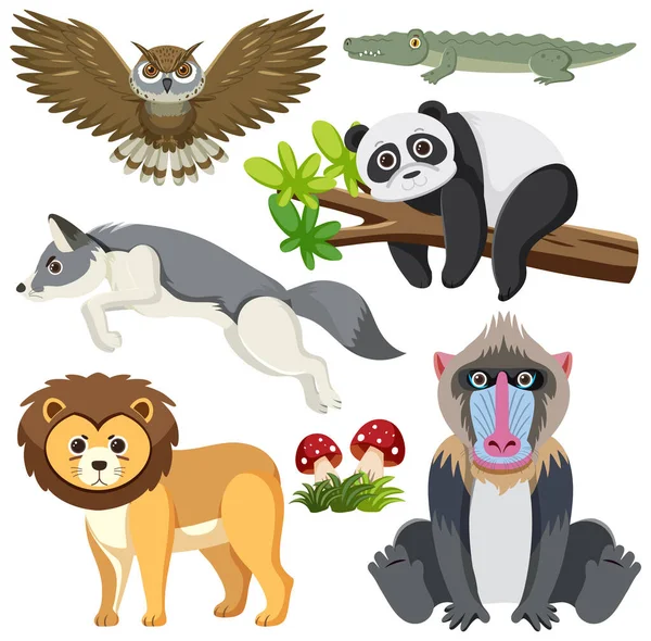 Dzikie Zwierzęta Cartoon Collection Ilustracja — Wektor stockowy
