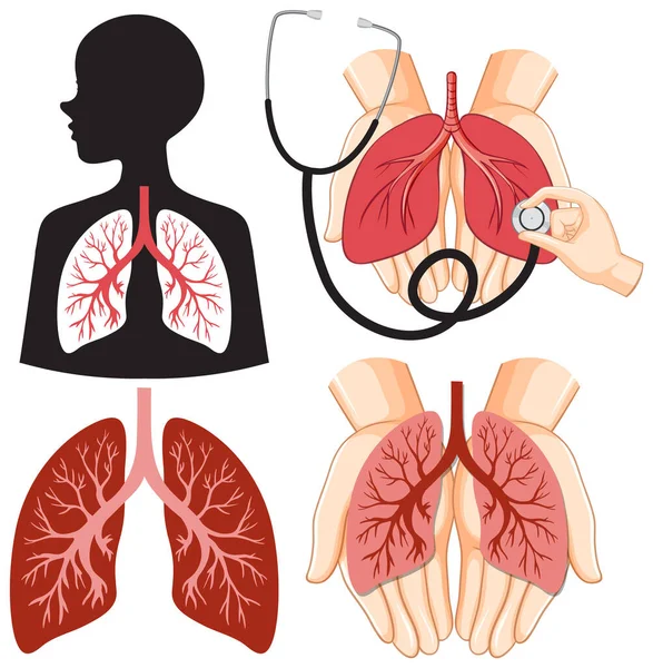 医療と健康のデザインのための人間の肺のアイコンのセットイラスト — ストックベクタ