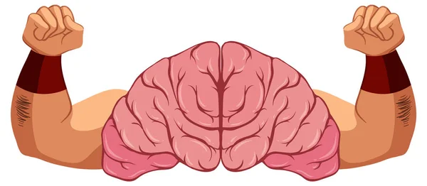 Gehirn Mit Starken Armen Vektor Illustration — Stockvektor