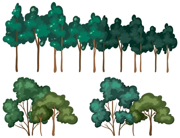 Variety Trees White Background Illustration — Stock Vector