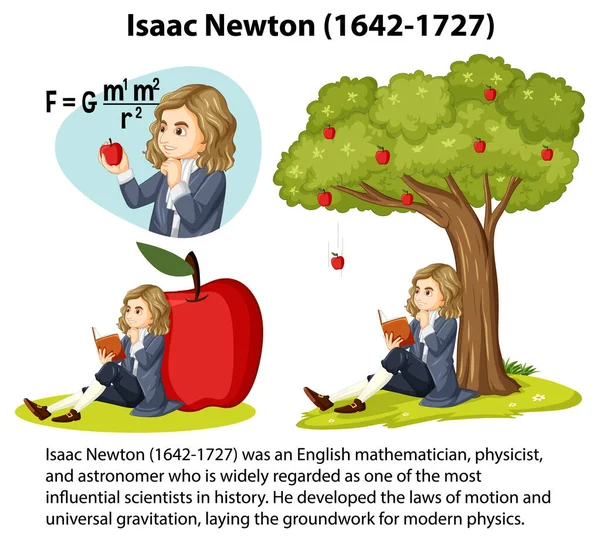 Biografía Informativa Isaac Newton Ilustración — Vector de stock