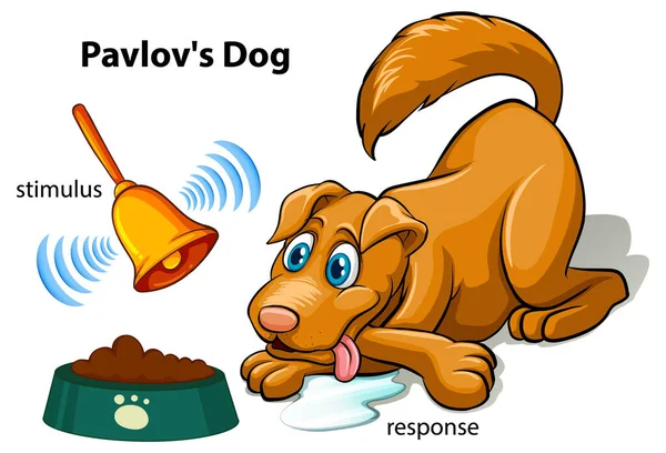 Pavlov的狗实验病媒图解 — 图库矢量图片