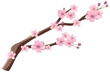 Japanese Cherry Blossom Vector Graphic illustration