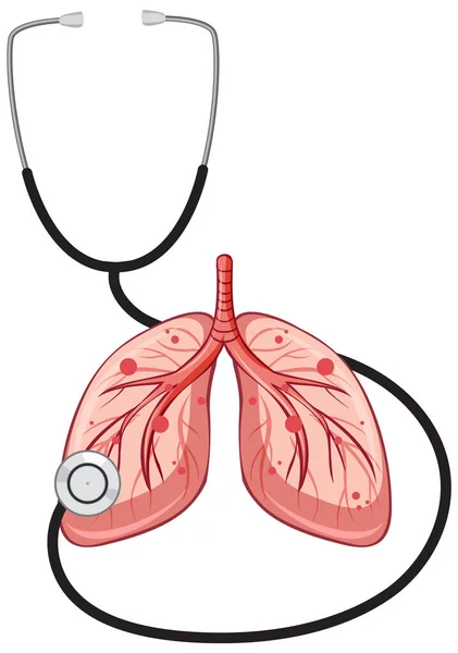 白色背景图上的听诊器和肺 — 图库矢量图片