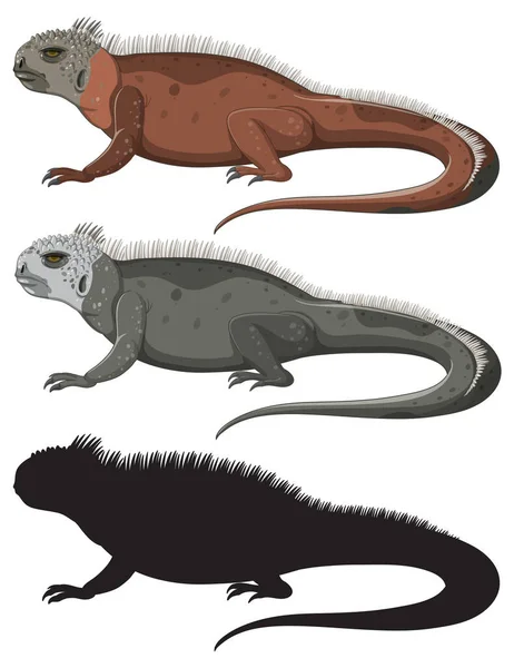 Ilustrasi Iguana Berdiri Siluet - Stok Vektor