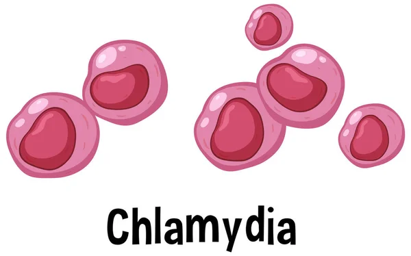 Chlamydia Virus Text Illustration — Stok Vektör