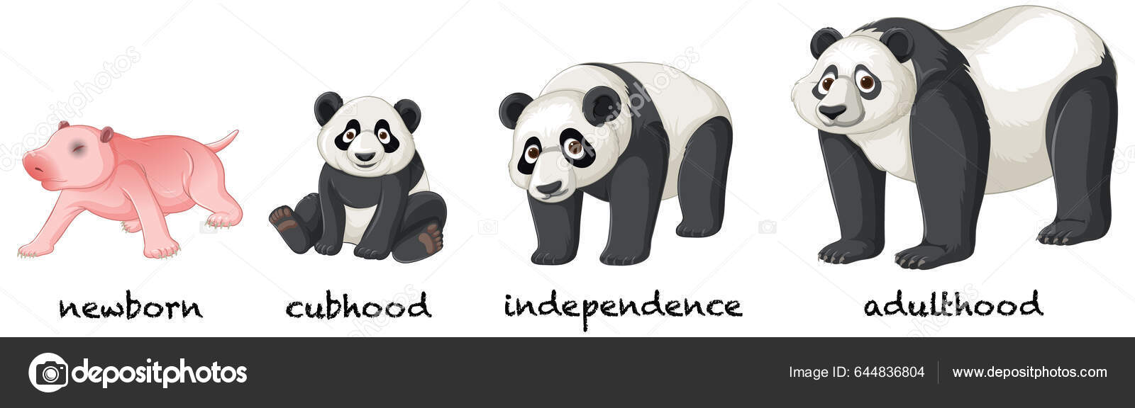 Panda Desenhos Animados Rosto Imagens Ilustração imagem vetorial de  blueringmedia© 644836804