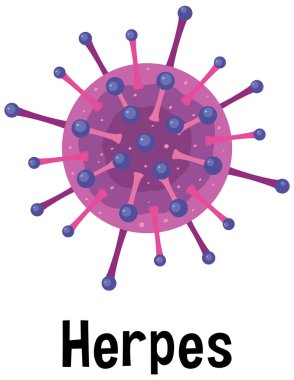 Herpes virus with text illustration