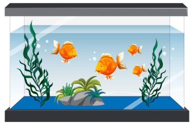 Aquarium tank with gold fishes on white background illustration
