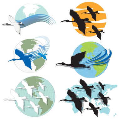 Set of different bird cartoon characters illustration