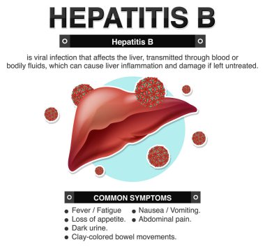 Hepatit B Infographic illüstrasyonunun belirtileri