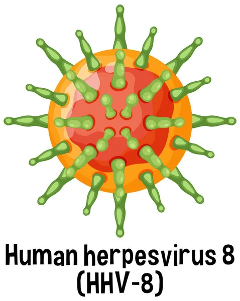 Human Herpesvirus Hhv Text Illustration — Archivo Imágenes Vectoriales