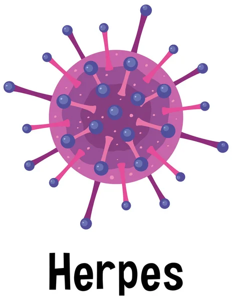 Herpes Vírus Com Ilustração Texto — Vetor de Stock