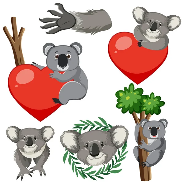 Zestaw Koala Niedźwiedź Ręki Aby Zapisać Zwierząt Ilustracji — Wektor stockowy