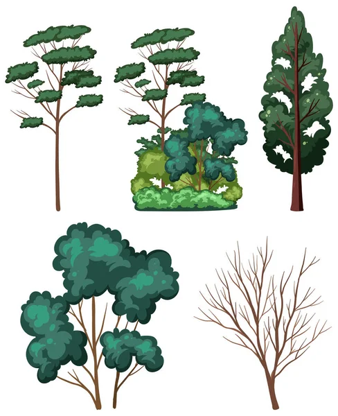 Variété Bomen Witte Achtergrond Illustratie — Stockvector
