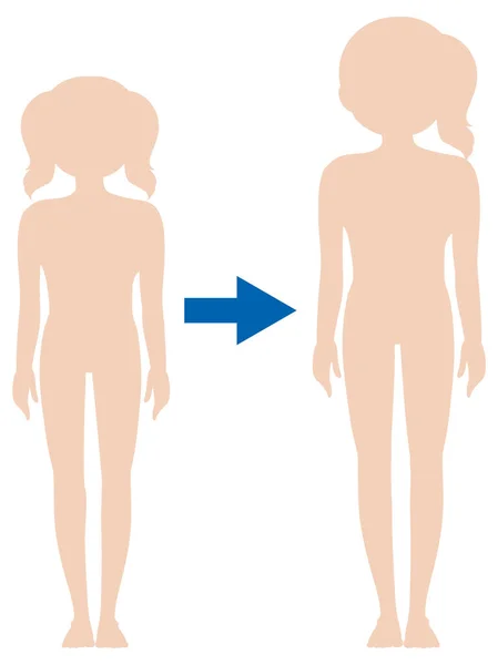 Pubertät Mädchen Körpergröße Vergleich Illustration — Stockvektor