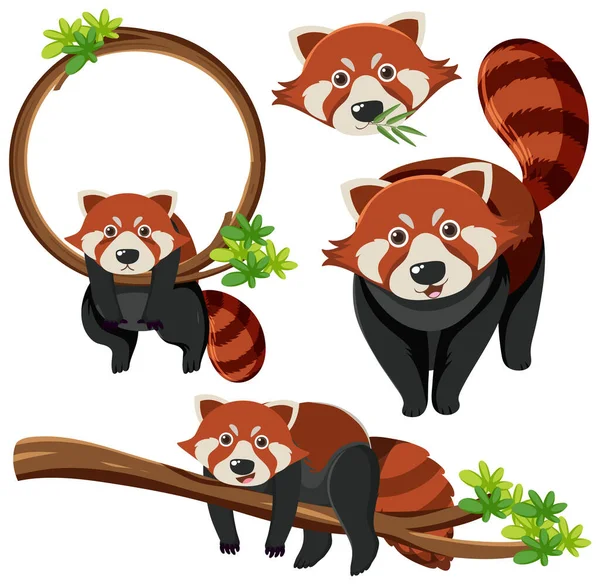 Mix Set Van Rode Panda Illustratie — Stockvector