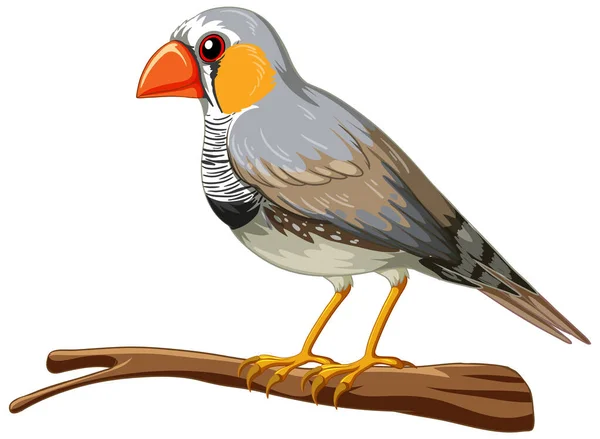 Zebravink Vogel Staand Witte Achtergrond Illustratie — Stockvector