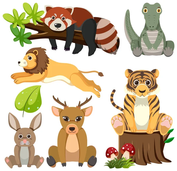Animales Salvajes Dibujos Animados Colección Ilustración — Vector de stock