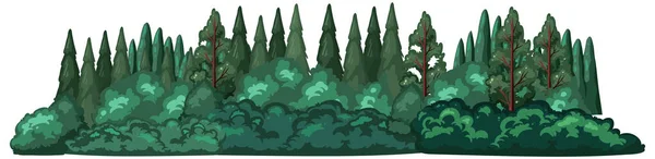 Хвойні Ліси Білому Тлі Ілюстрація — стоковий вектор