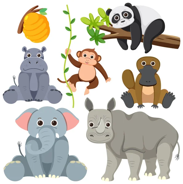 Wild Animals Cartoon Collection Illustration — Stock Vector