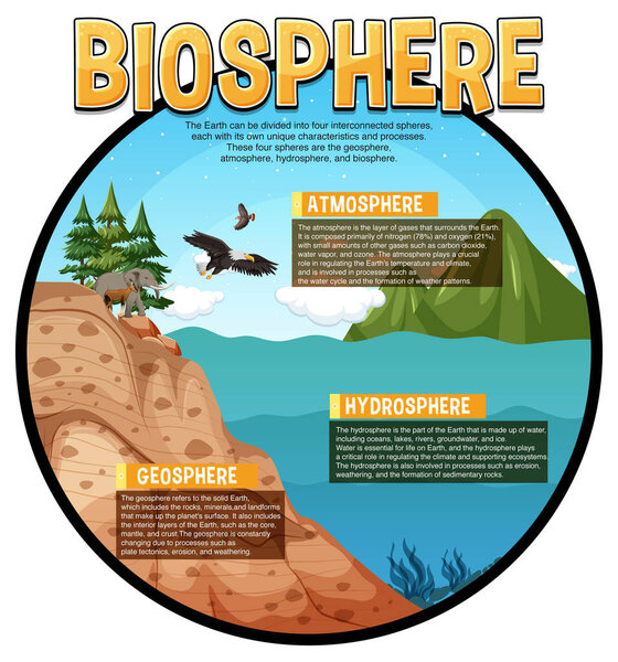 Biosphere Ecology Infographic for Learning illustration