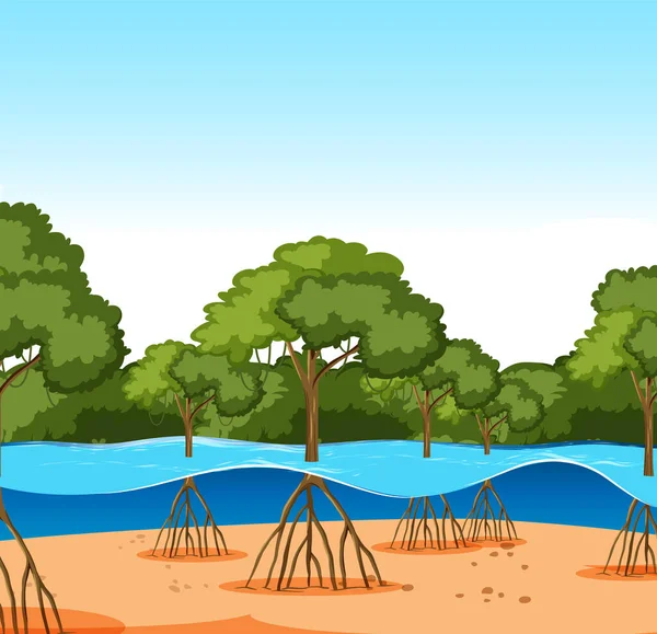 Árvores Mangue Pela Ilustração Águas Calmas — Vetor de Stock
