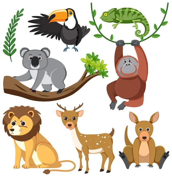 Illustration Zur Zeichentricksammlung Wilder Tiere — Stockvektor