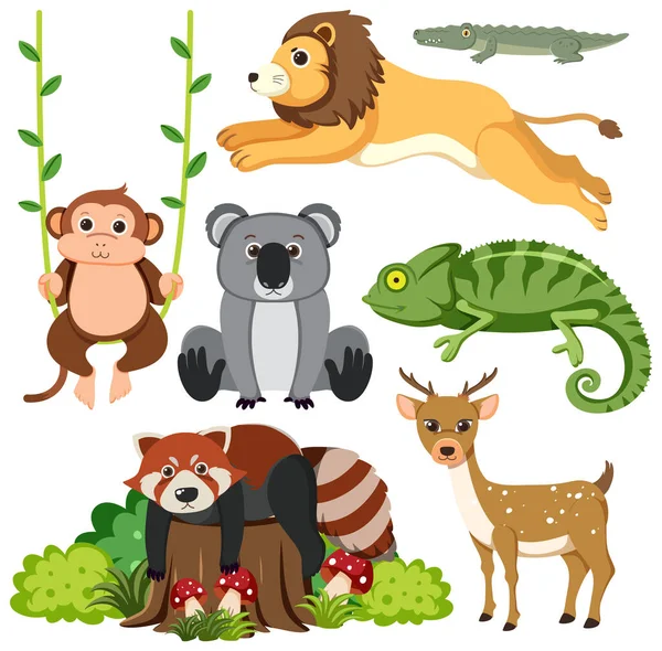 野生动物卡通系列图解 — 图库矢量图片
