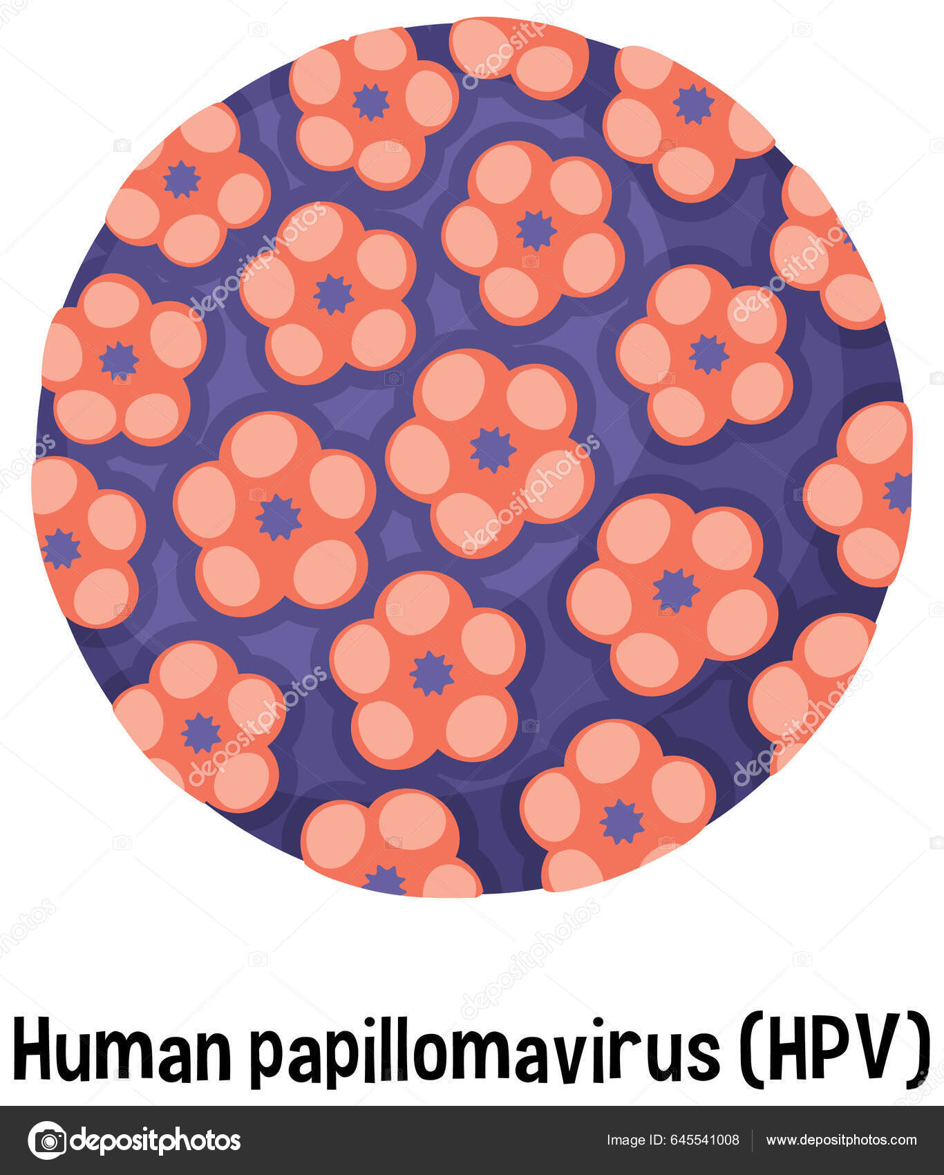 人乳头瘤病毒（HPV),不可小觑~ - 知乎